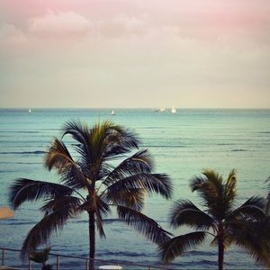 Meet your Posher, Alana